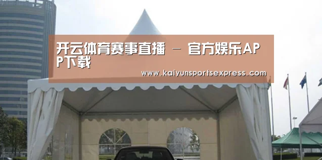 案例标题八