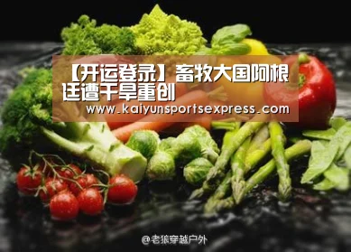 【开运登录】畜牧大国阿根廷遭干旱重创(图2) 开运登录